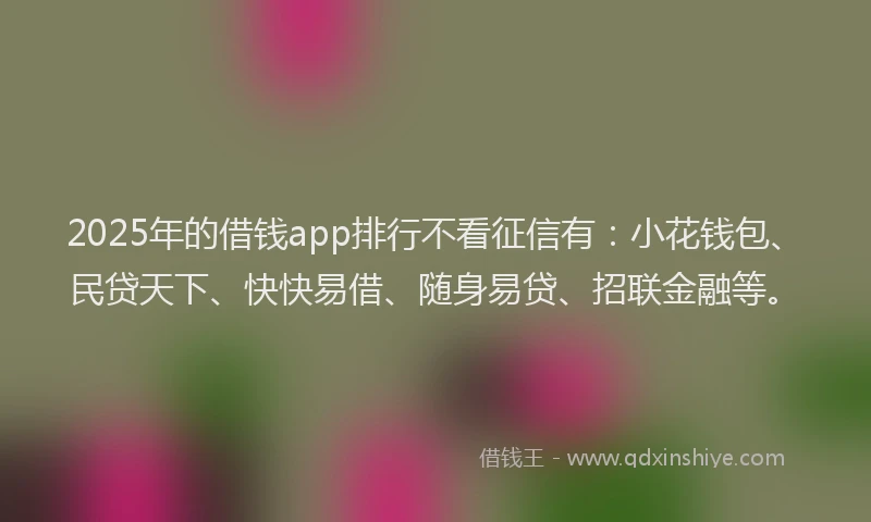 2025年的借钱app排行不看征信有：小花钱包、民贷天下、快快易借、随身易贷、招联金融等。