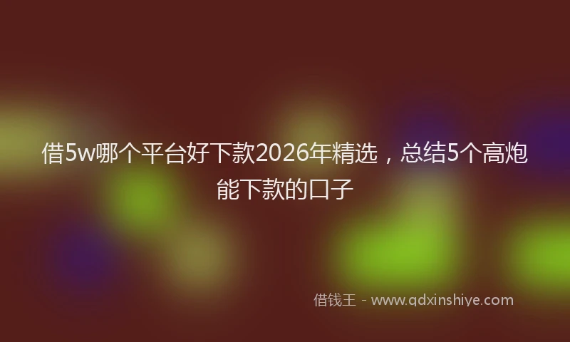 借5w哪个平台好下款2026年精选，总结5个高炮能下款的口子