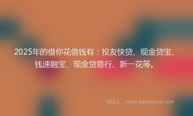 2025年的借你花借钱有：投友快贷、现金贷宝、钱速融宝、现金贷易行、新一花等。