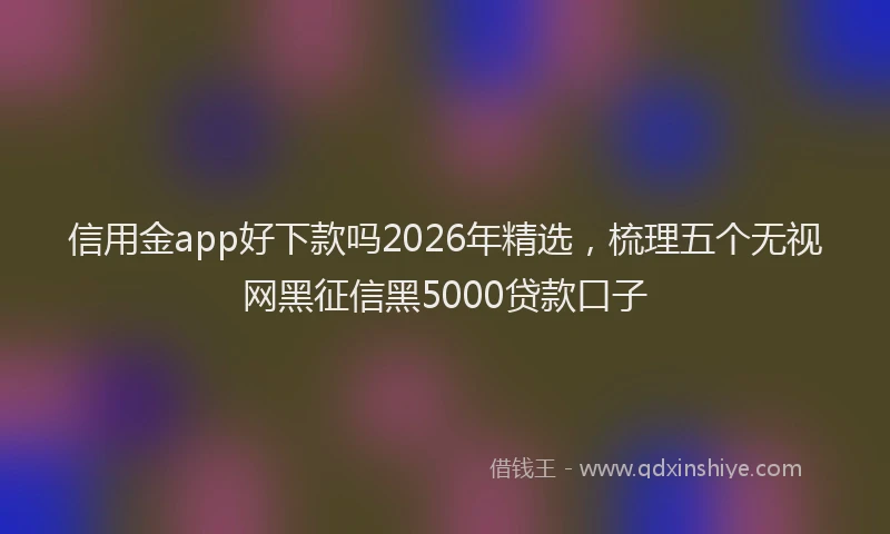 信用金app好下款吗2026年精选，梳理五个无视网黑征信黑5000贷款口子
