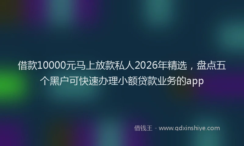 借款10000元马上放款私人2026年精选,盘点五个黑户可快速办理小额贷款业务的app