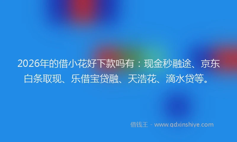 2026年的借小花好下款吗有：现金秒融途、京东白条取现、乐借宝贷融、天浩花、滴水贷等。