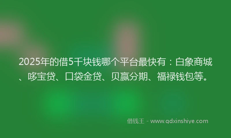 2025年的借5千块钱哪个平台最快有：白象商城、哆宝贷、口袋金贷、贝赢分期、福禄钱包等。