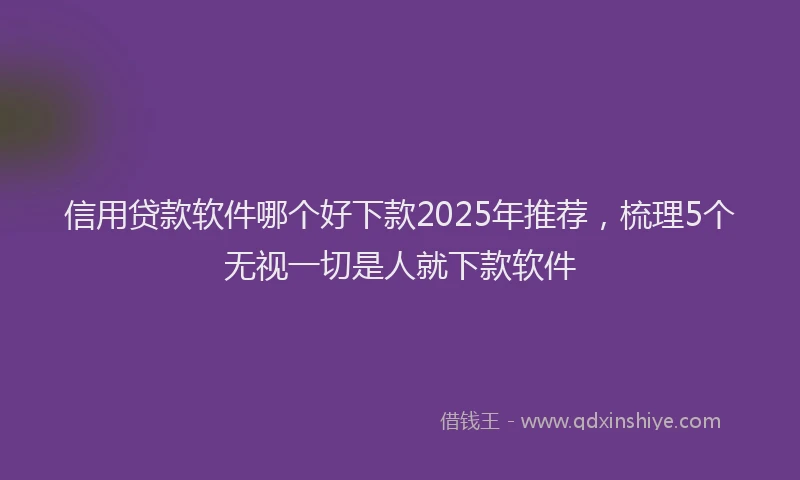 信用贷款软件哪个好下款2025年推荐，梳理5个无视一切是人就下款软件