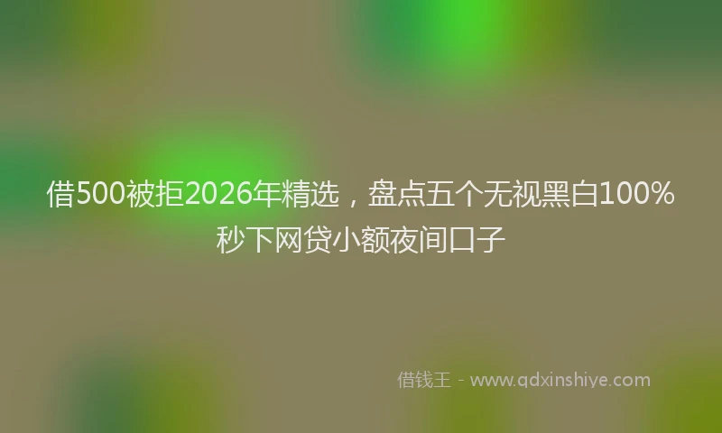 借500被拒2026年精选，盘点五个无视黑白100%秒下网贷小额夜间口子