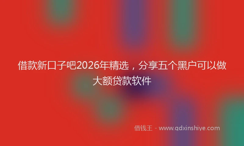 借款新口子吧2026年精选，分享五个黑户可以做大额贷款软件