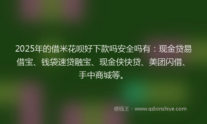2025年的借米花呗好下款吗安全吗有：现金贷易借宝、钱袋速贷融宝、现金侠快贷、美团闪借、手中商城等。