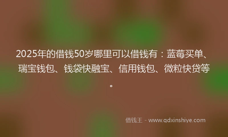 2025年的借钱50岁哪里可以借钱有：蓝莓买单、瑞宝钱包、钱袋快融宝、信用钱包、微粒快贷等。
