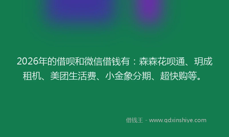 2026年的借呗和微信借钱有：森森花呗通、玥成租机、美团生活费、小金象分期、超快购等。
