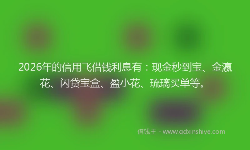 2026年的信用飞借钱利息有：现金秒到宝、金瀛花、闪贷宝盒、盈小花、琉璃买单等。