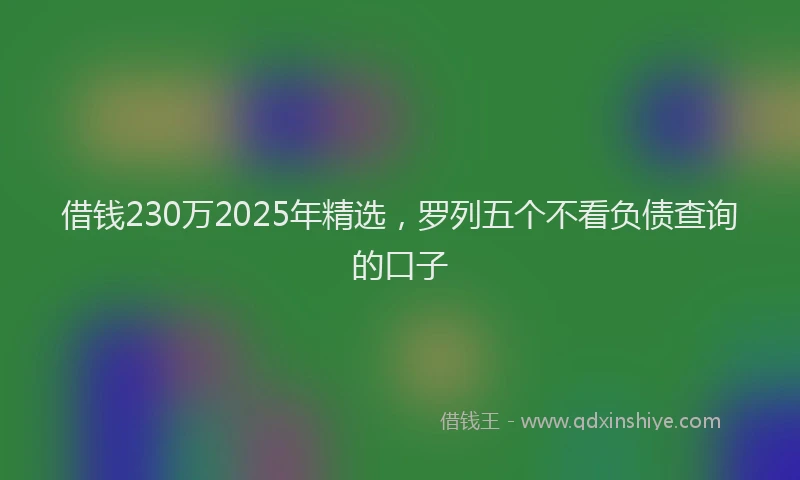 借钱230万2025年精选，罗列五个不看负债查询的口子