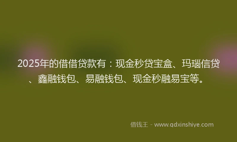 2025年的借借贷款有:现金秒贷宝盒、玛瑙信贷、鑫融钱包、易融钱包、现金秒融易宝等。