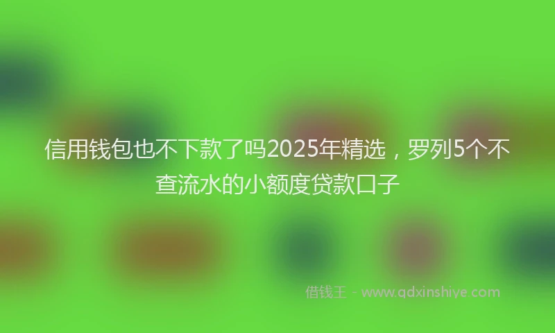 信用钱包也不下款了吗2025年精选，罗列5个不查流水的小额度贷款口子
