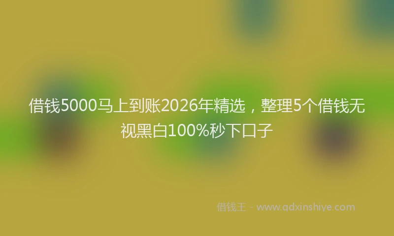 借钱5000马上到账2026年精选，整理5个借钱无视黑白100%秒下口子