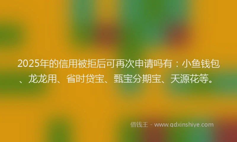 2025年的信用被拒后可再次申请吗有：小鱼钱包、龙龙用、省时贷宝、甄宝分期宝、天源花等。
