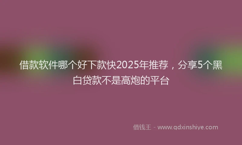 借款软件哪个好下款快2025年推荐，分享5个黑白贷款不是高炮的平台