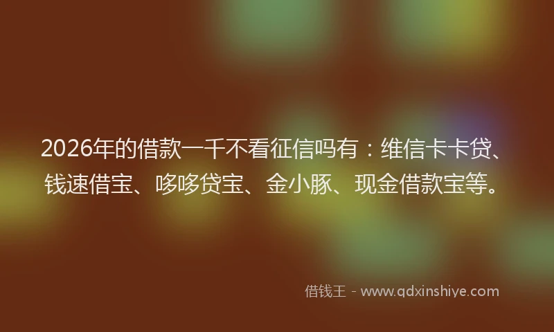2026年的借款一千不看征信吗有:维信卡卡贷、钱速借宝、哆哆贷宝、金小豚、现金借款宝等。