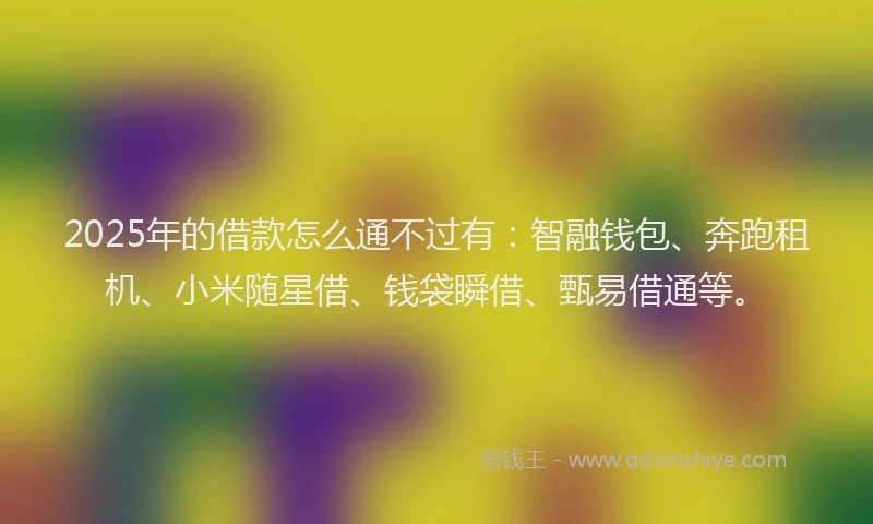 2025年的借款怎么通不过有：智融钱包、奔跑租机、小米随星借、钱袋瞬借、甄易借通等。