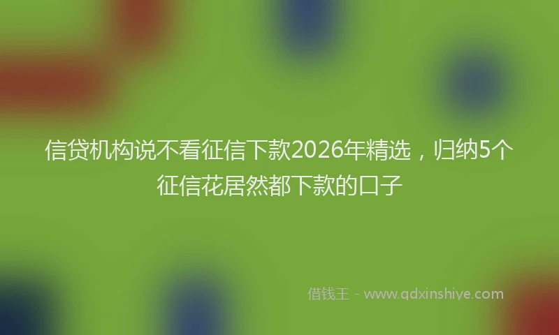 信贷机构说不看征信下款2026年精选，归纳5个征信花居然都下款的口子