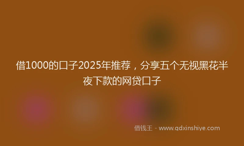 借1000的口子2025年推荐，分享五个无视黑花半夜下款的网贷口子
