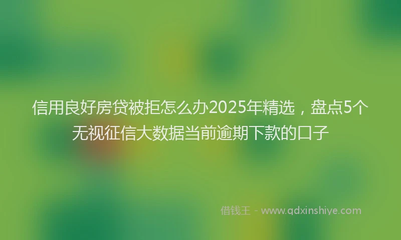 信用良好房贷被拒怎么办2025年精选，盘点5个无视征信大数据当前逾期下款的口子