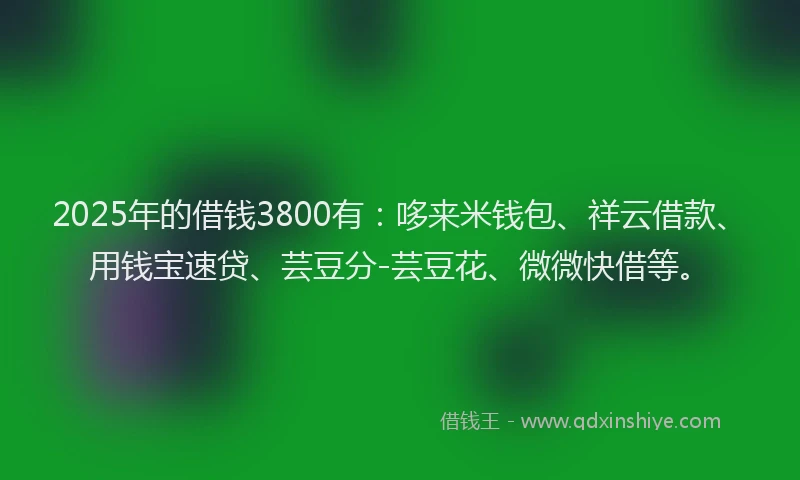 2025年的借钱3800有：哆来米钱包、祥云借款、用钱宝速贷、芸豆分-芸豆花、微微快借等。