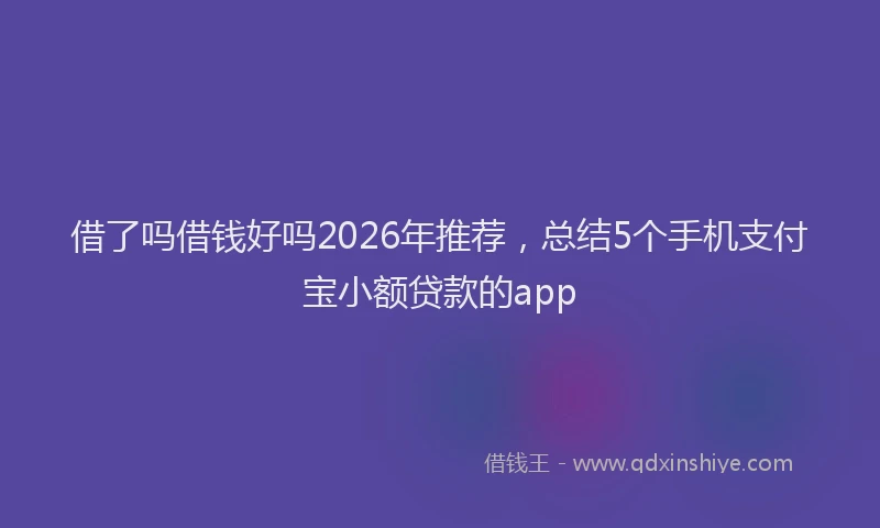 借了吗借钱好吗2026年推荐,总结5个手机支付宝小额贷款的app