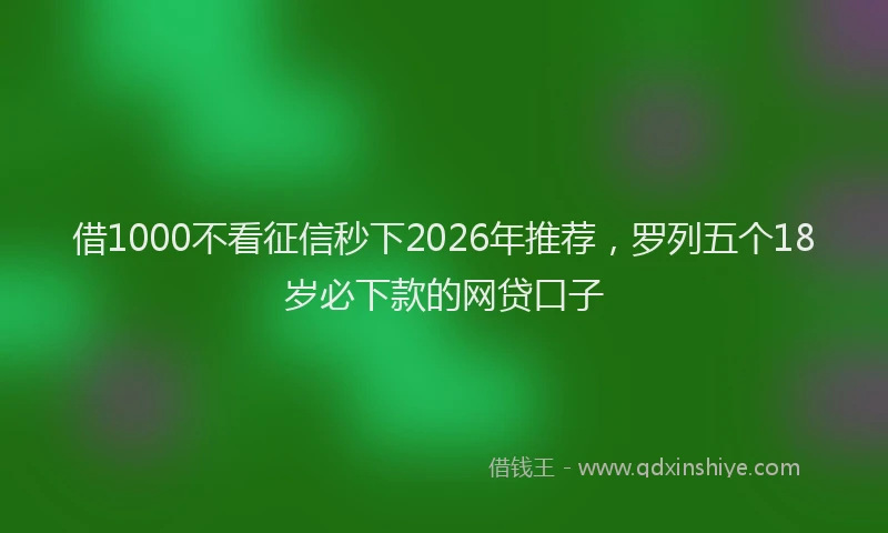 借1000不看征信秒下2026年推荐,罗列五个18岁必下款的网贷口子