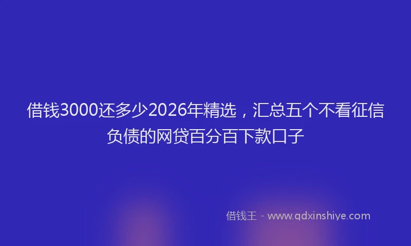 借钱3000还多少2026年精选，汇总五个不看征信负债的网贷百分百下款口子