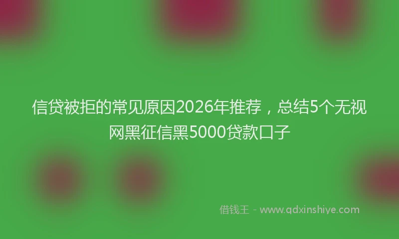 信贷被拒的常见原因2026年推荐,总结5个无视网黑征信黑5000贷款口子
