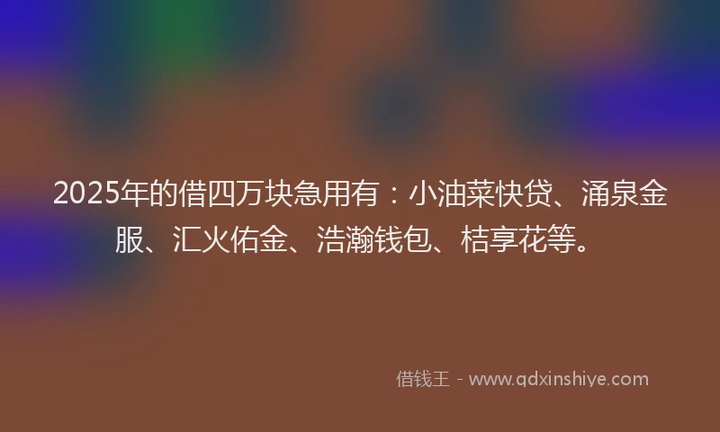 2025年的借四万块急用有:小油菜快贷、涌泉金服、汇火佑金、浩瀚钱包、桔享花等。