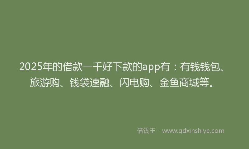 2025年的借款一千好下款的app有：有钱钱包、旅游购、钱袋速融、闪电购、金鱼商城等。