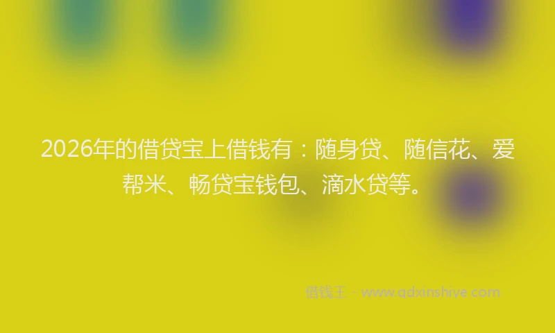 2026年的借贷宝上借钱有:随身贷、随信花、爱帮米、畅贷宝钱包、滴水贷等。