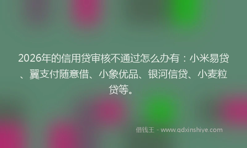 2026年的信用贷审核不通过怎么办有：小米易贷、翼支付随意借、小象优品、银河信贷、小麦粒贷等。