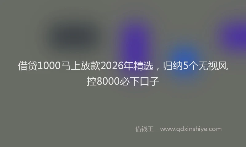 借贷1000马上放款2026年精选，归纳5个无视风控8000必下口子