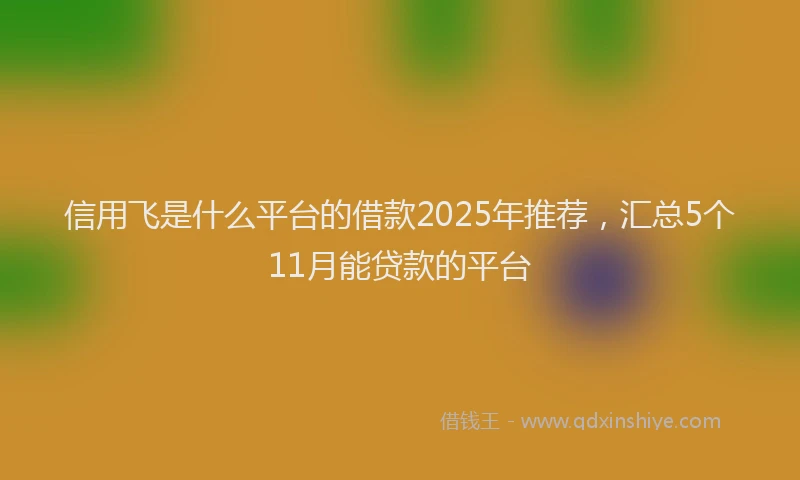信用飞是什么平台的借款2025年推荐,汇总5个11月能贷款的平台