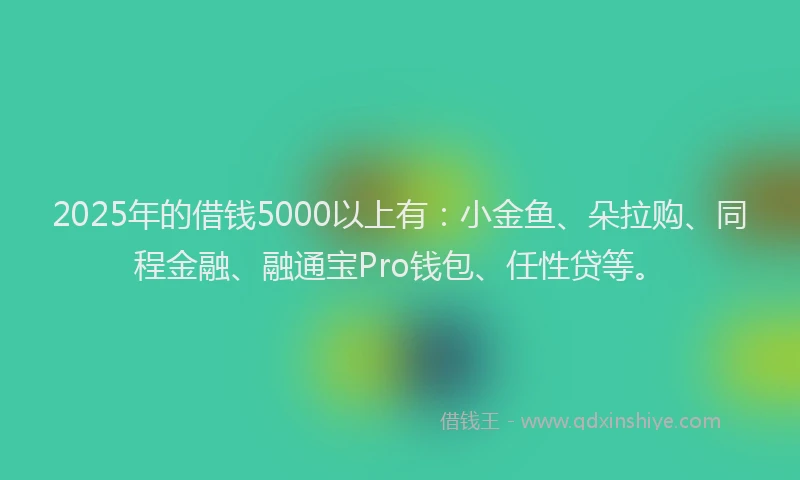 2025年的借钱5000以上有：小金鱼、朵拉购、同程金融、融通宝Pro钱包、任性贷等。