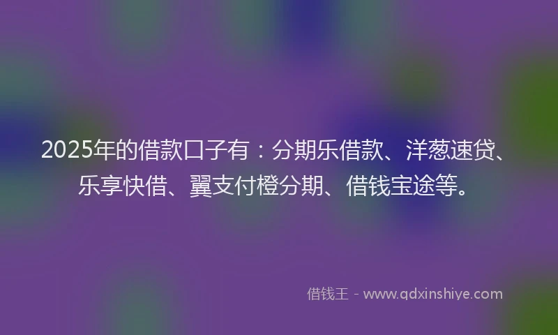 2025年的借款口子有:分期乐借款、洋葱速贷、乐享快借、翼支付橙分期、借钱宝途等。