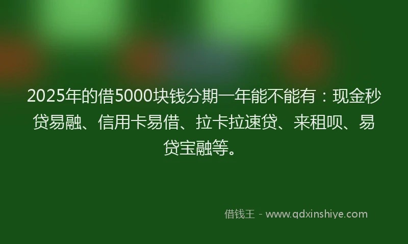 2025年的借5000块钱分期一年能不能有：现金秒贷易融、信用卡易借、拉卡拉速贷、来租呗、易贷宝融等。
