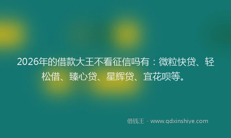 2026年的借款大王不看征信吗有：微粒快贷、轻松借、臻心贷、星辉贷、宜花呗等。