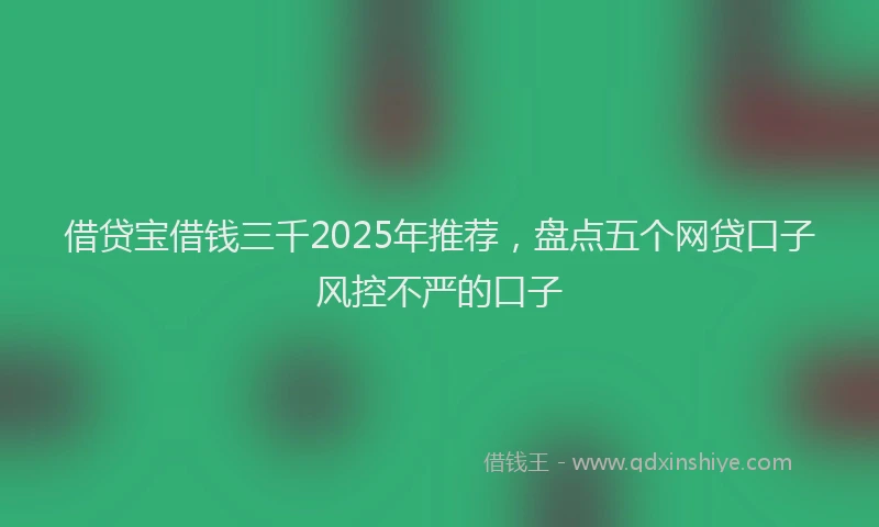 借贷宝借钱三千2025年推荐,盘点五个网贷口子风控不严的口子
