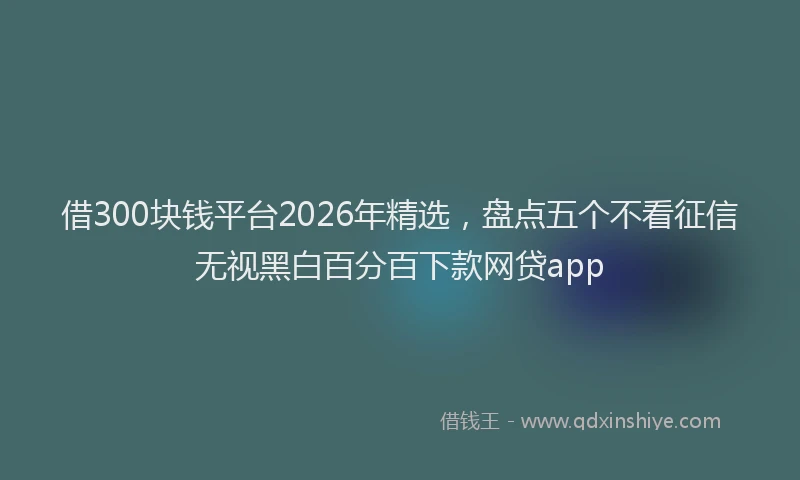 借300块钱平台2026年精选,盘点五个不看征信无视黑白百分百下款网贷app