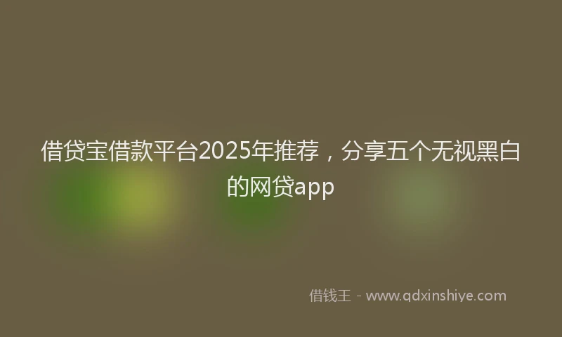 借贷宝借款平台2025年推荐,分享五个无视黑白的网贷app