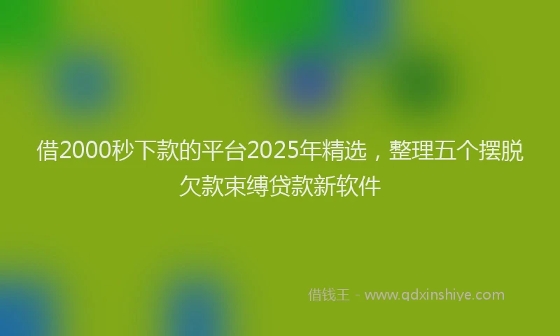 借2000秒下款的平台2025年精选,整理五个摆脱欠款束缚贷款新软件