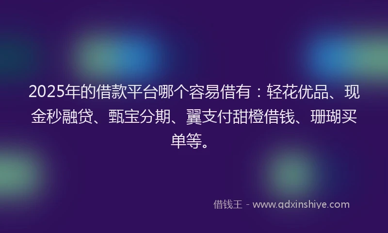 2025年的借款平台哪个容易借有:轻花优品、现金秒融贷、甄宝分期、翼支付甜橙借钱、珊瑚买单等。