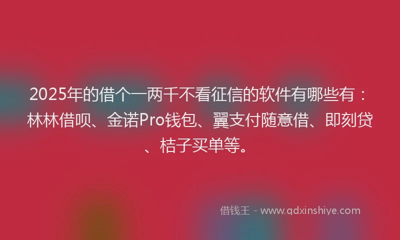 2025年的借个一两千不看征信的软件有哪些有：林林借呗、金诺Pro钱包、翼支付随意借、即刻贷、桔子买单等。