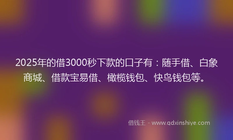 2025年的借3000秒下款的口子有:随手借、白象商城、借款宝易借、橄榄钱包、快鸟钱包等。