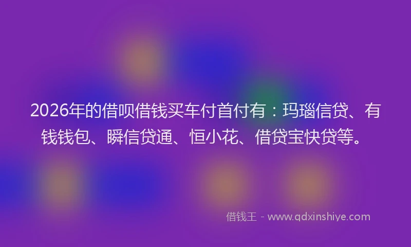 2026年的借呗借钱买车付首付有：玛瑙信贷、有钱钱包、瞬信贷通、恒小花、借贷宝快贷等。