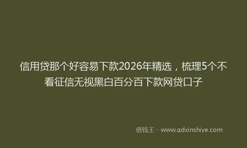 信用贷那个好容易下款2026年精选，梳理5个不看征信无视黑白百分百下款网贷口子
