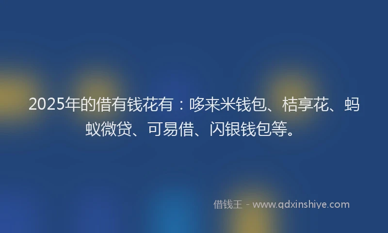 2025年的借有钱花有:哆来米钱包、桔享花、蚂蚁微贷、可易借、闪银钱包等。